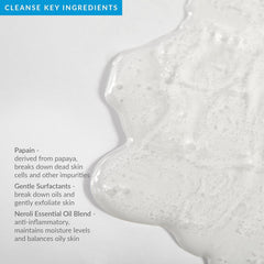 PMD Cleanse Soothing Antioxidant Cleanser