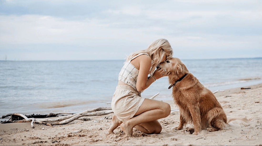 How to Protect My Pet from Skin Cancer