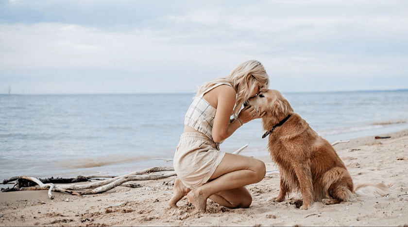 How to Protect My Pet from Skin Cancer