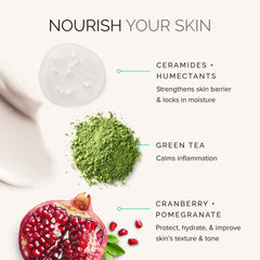 Skincare ingredients with text on a white background