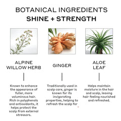 Zenagen Evolve Nourishing Shampoo