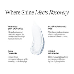 Exoceuticals EXO LIPS Ingredients