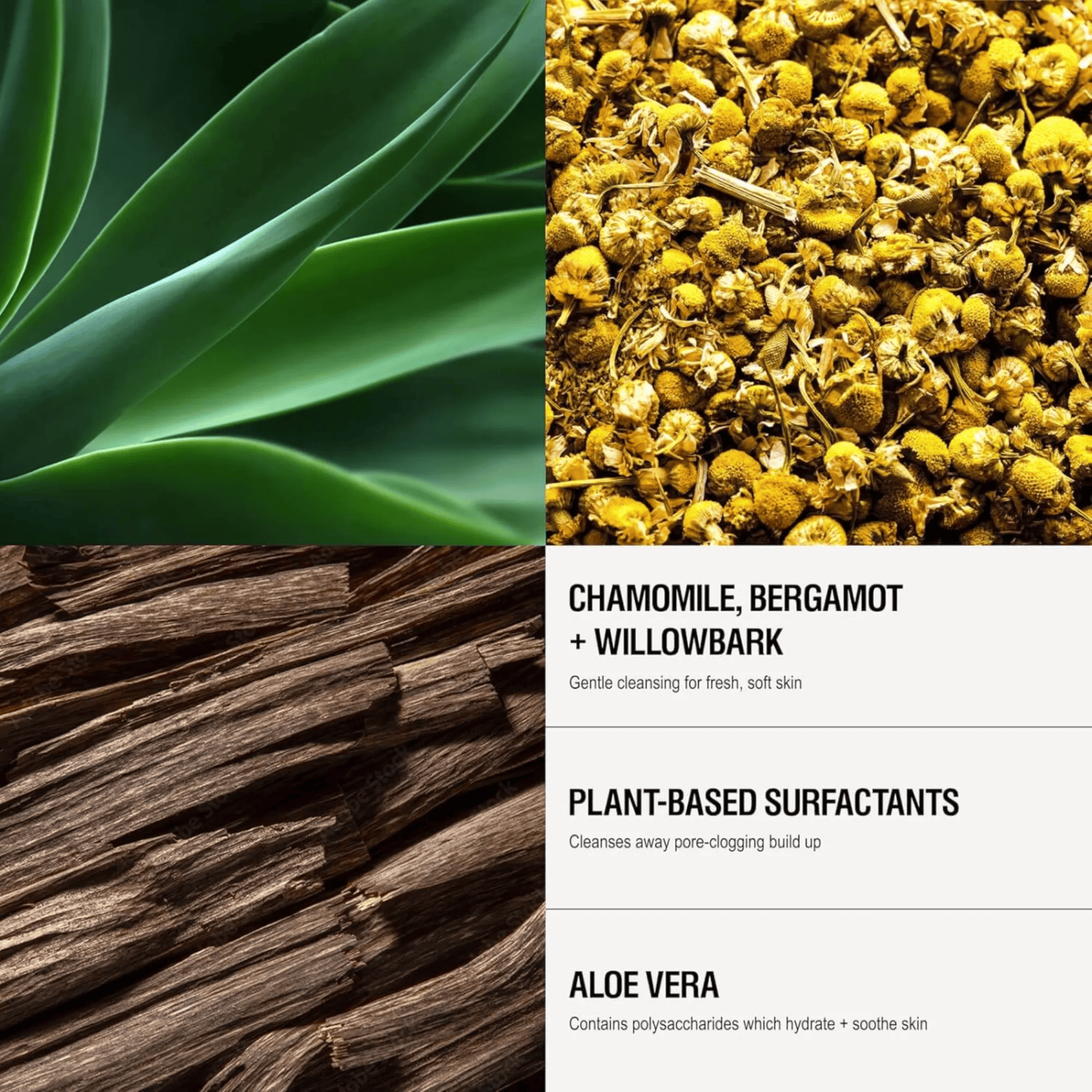 Three natural ingredients (green leaf, yellow flowers, brown bark) with text about their uses.