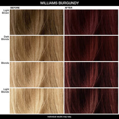 IGK Color Mask Williams Burgundy Chart 4