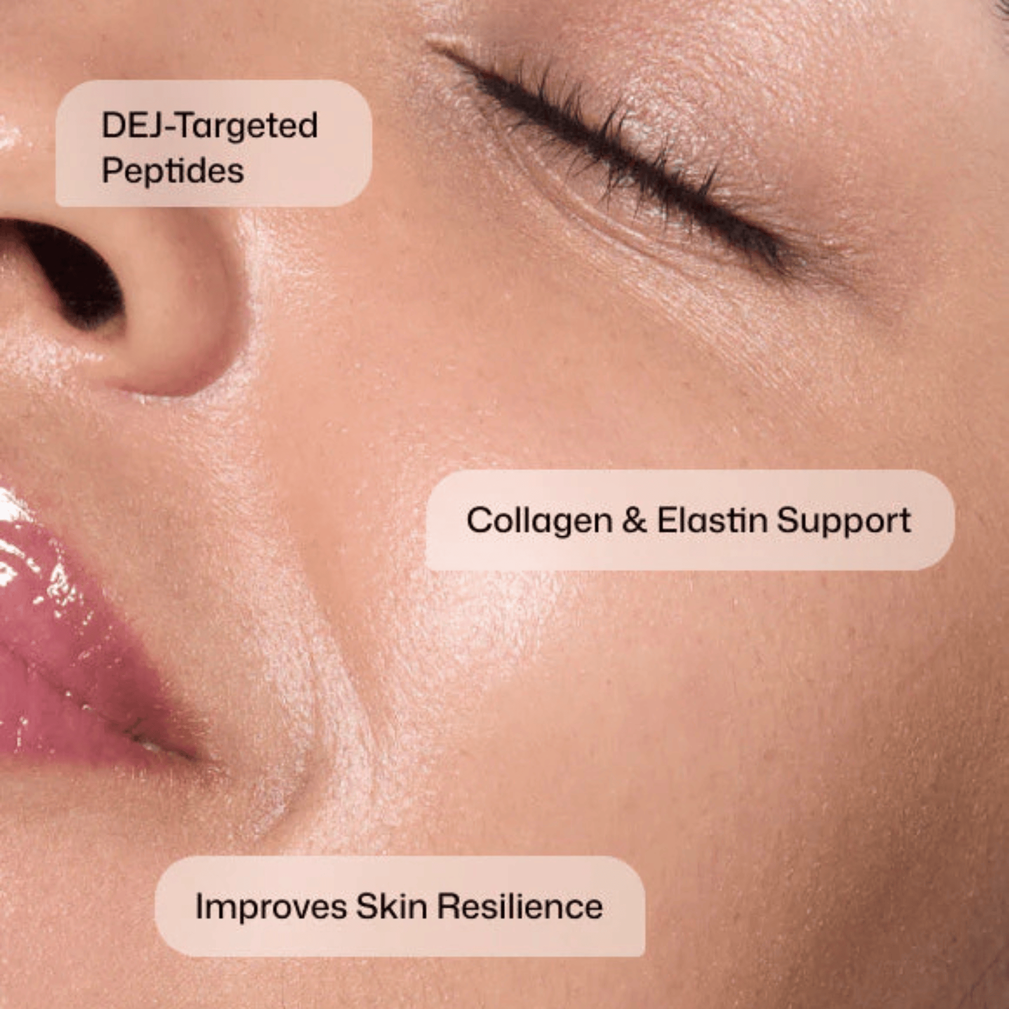 Revision Skincare D.E.J. Face Cream | Exclusive Beauty Club Revision Skincare D.E.J. Face Cream | Exclusive Beauty Club
