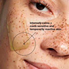 SkinCeuticals Phyto Corrective Hydrating + Calming Mask SkinCeuticals 2.0 fl. oz. Shop at Exclusive Beauty Club