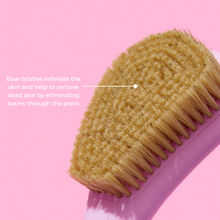 Load image into Gallery viewer, The Skinny Confidential Butter Brush Body Brush Benefits Shop At Exclusive Beauty
