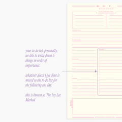 The Skinny Confidential Hot Minute Day Planner  Prompt 2 Shop at Exclusive Beauty