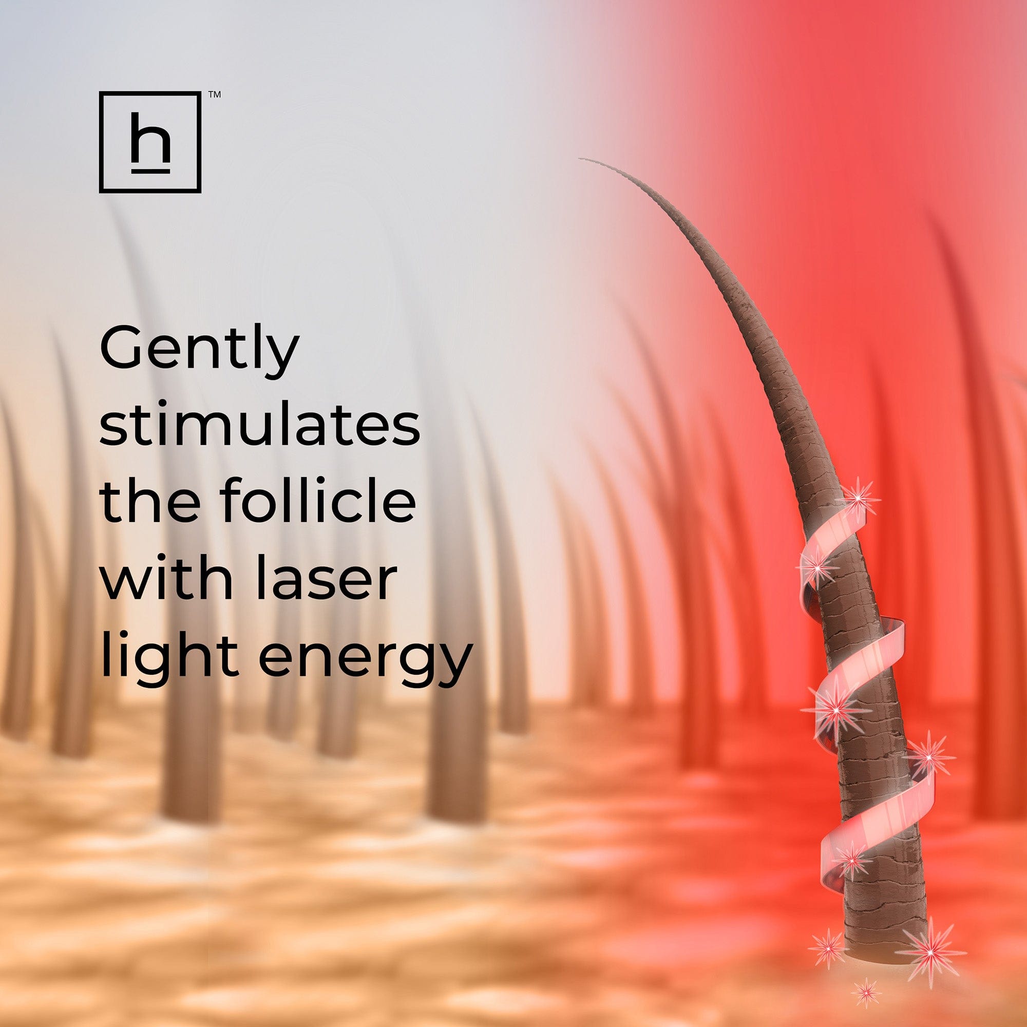 Illustration of hair follicles with text about laser light energy stimulation