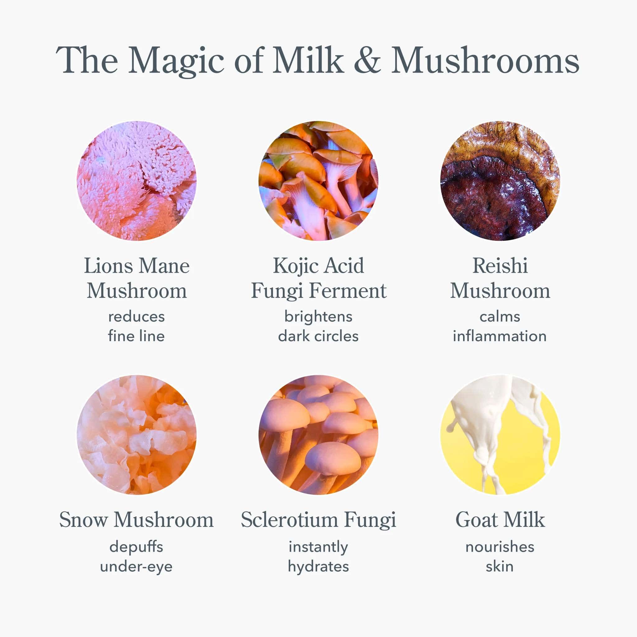 Six ingredient photos showing lions mane reishi and other mushrooms with goat milk