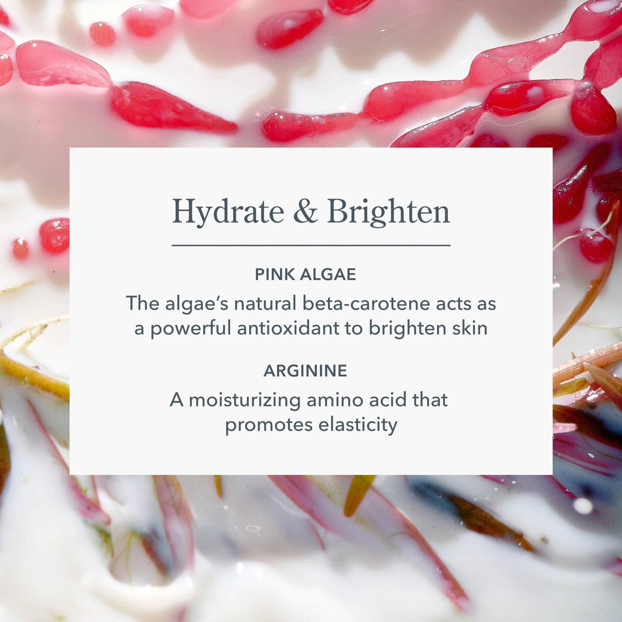 Pink algae and arginine ingredients that hydrate and brighten skin in Solar Milk SPF 50