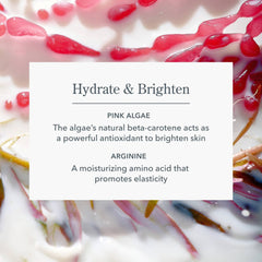 Pink algae and arginine ingredients that hydrate and brighten skin in Solar Milk SPF 50