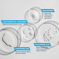 CeraVe 2-in-1 Hydrating Anti-Dandruff Shampoo & Conditioner