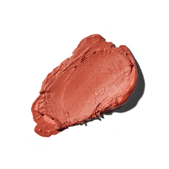 Colorescience Sunforgettable Total Protection Color Balm SPF 50 Golden Hour Swatch Shop at Exclusive Beauty Club 2