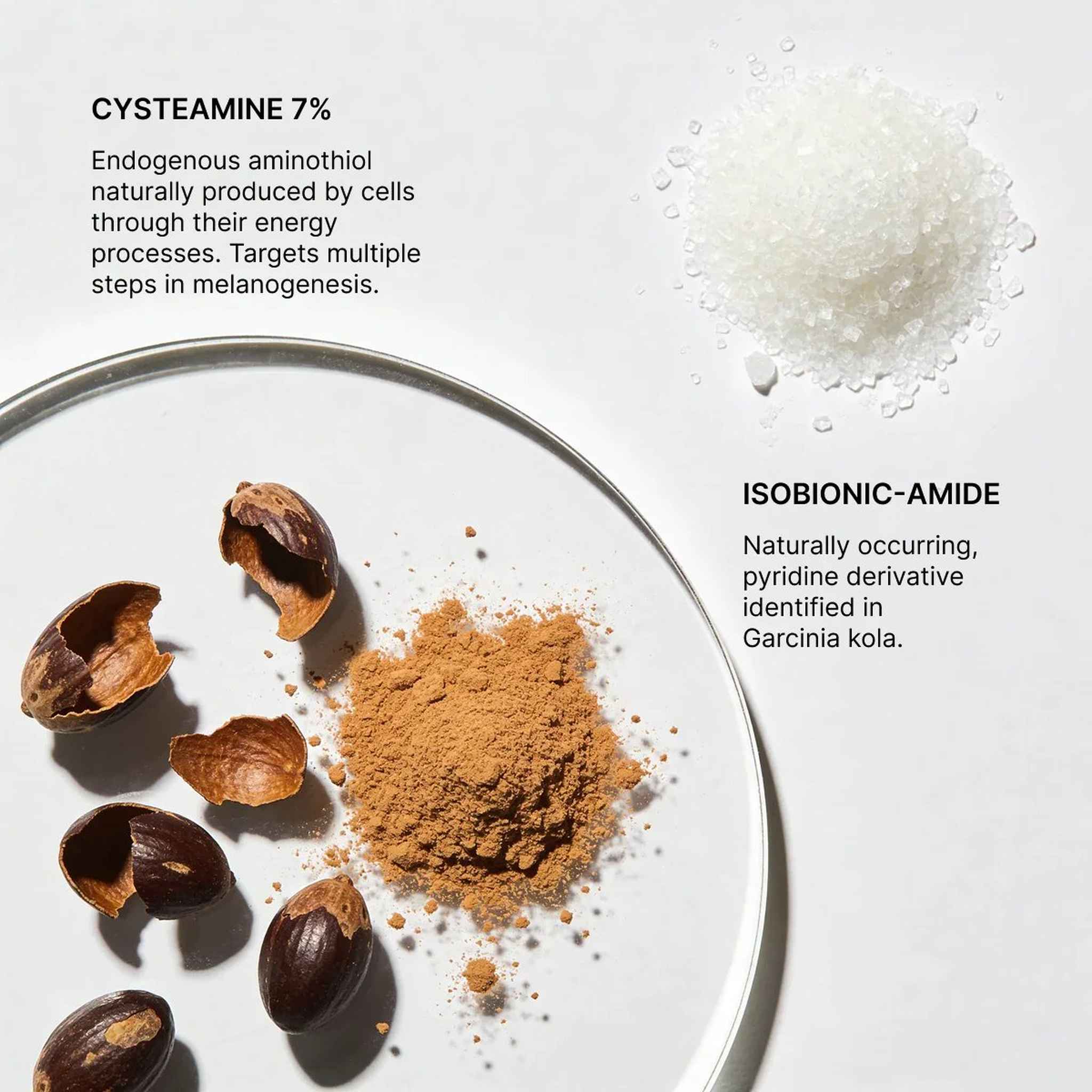 Cysteamine 7% and Isobionic-Amide key ingredients in Cyspera Intensive Pigment Corrector targeting melanogenesis for skin brightening