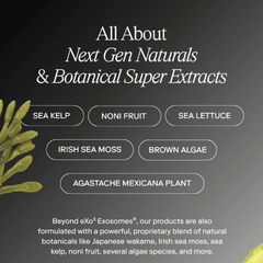 Natural botanical ingredients in Exo C-Serum including sea kelp and noni fruit
