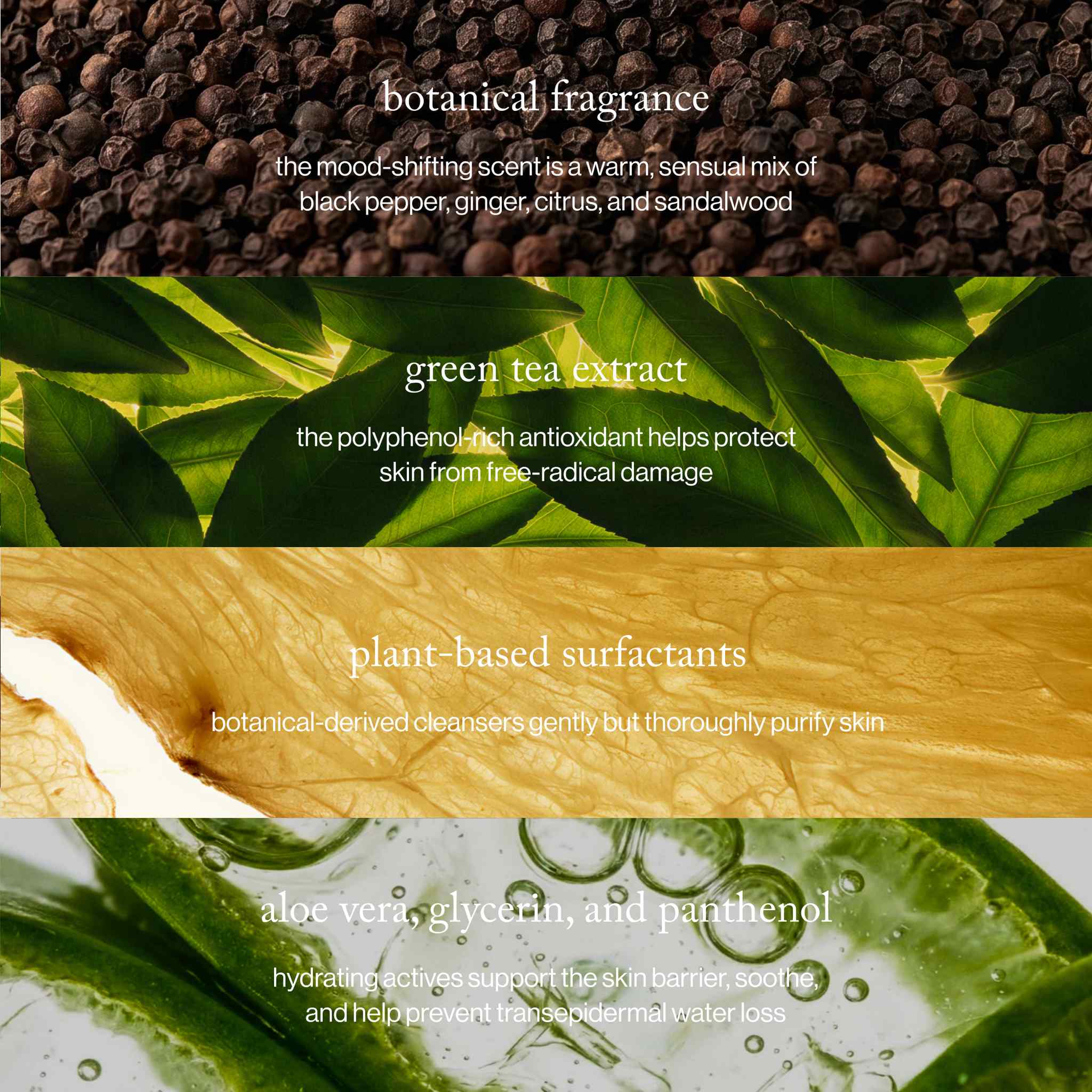 ingredients: Black pepper green tea leaves plant-based surfactants and aloe vera used in this grounding body wash