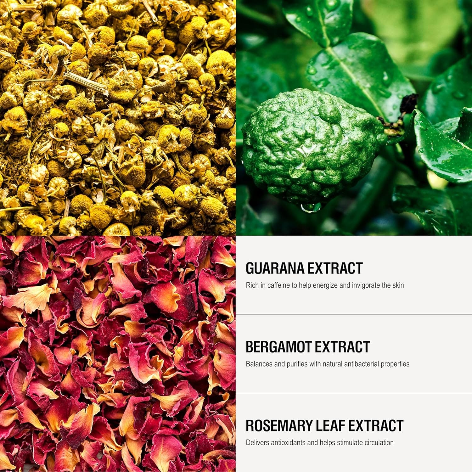 Plant-based ingredients in Energize Body Cleanser for gentle cleansing