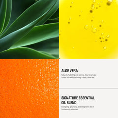 Four square sections with green aloe vera leaves, yellow bubbles, orange texture, and white text on a white background.