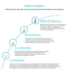 Hairmax LaserComb Ultima 12 Classic Hair Growth Device