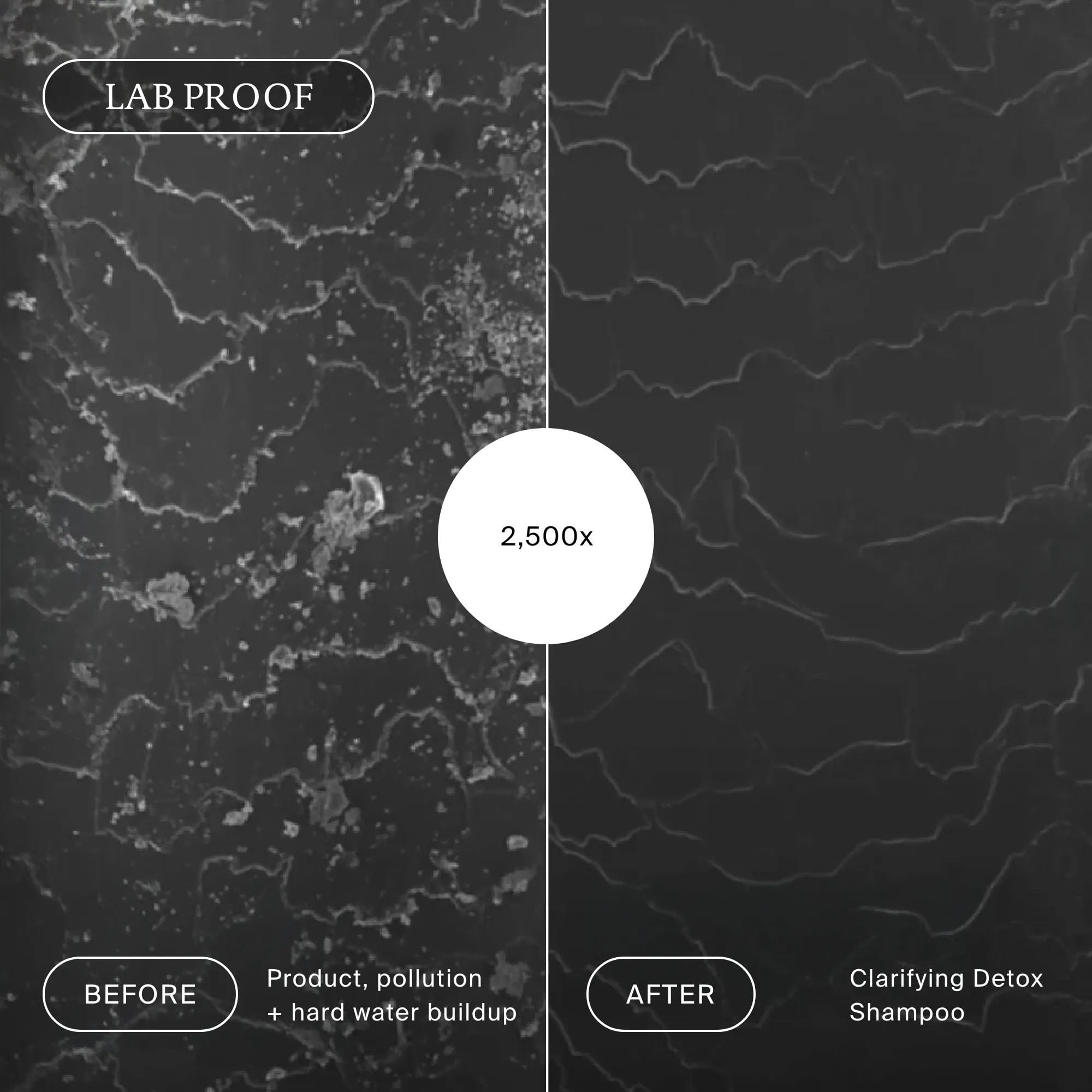 Lab microscope view of hair buildup before and after Living Proof Clarifying Detox Shampoo at 2500x