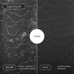 Lab microscope view of hair buildup before and after Living Proof Clarifying Detox Shampoo at 2500x