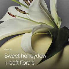 White lily petals showing the sweet honeydew and soft floral scent of Living Proof Full Dry Volume and Texture Spray