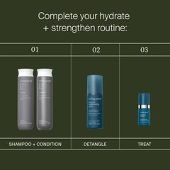 Living Proof hydrate routine with Perfect Hair Day Shampoo and Conditioner Leave-In Spray and Triple Bond Complex