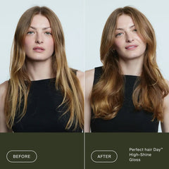 Before and after Perfect hair Day High-Shine Gloss turning dull long brunette hair into a shiny smooth blowout