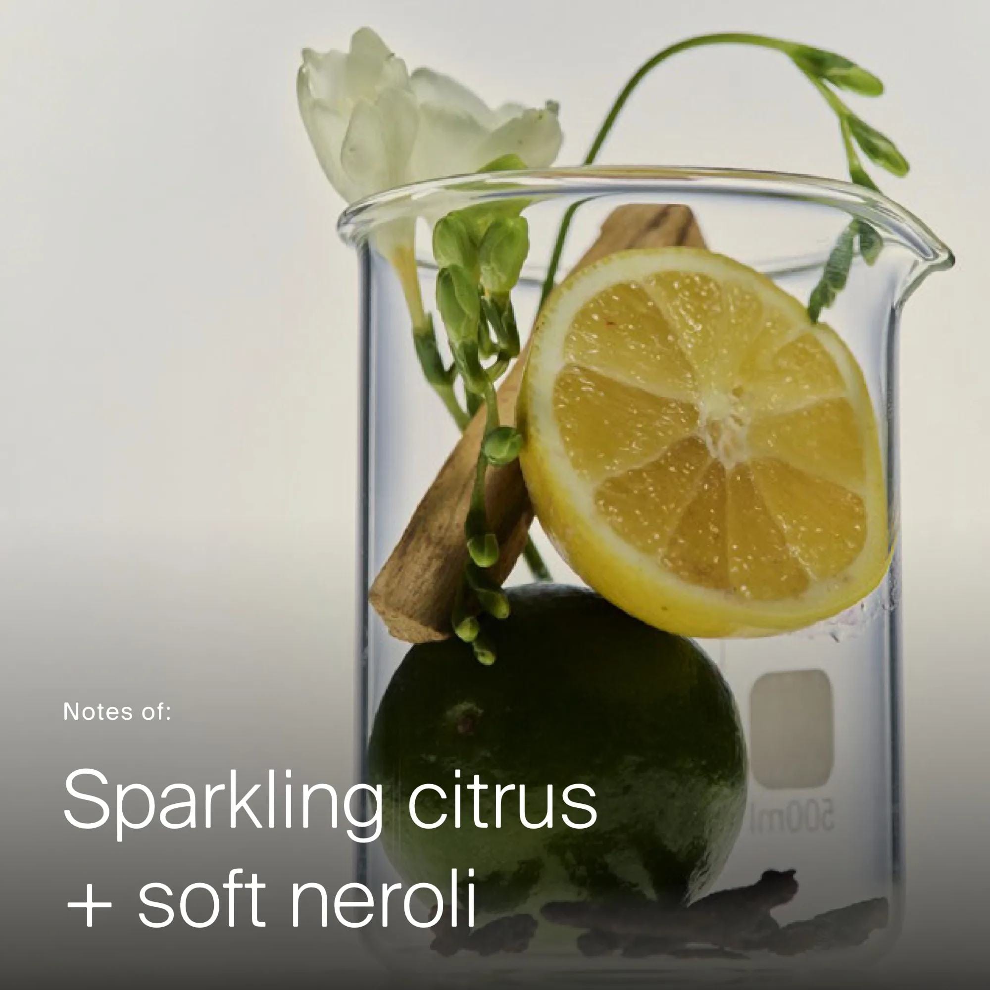 Lemon lime and freesia in a beaker showing the sparkling citrus and soft neroli scent of Style Refresh Mist