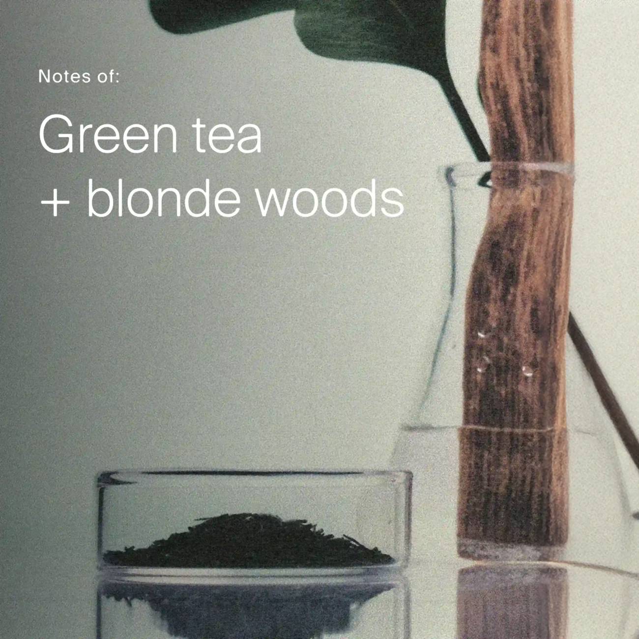 Green tea leaves and a wood stick in lab glass showing the green tea and blonde woods scent of Density Serum