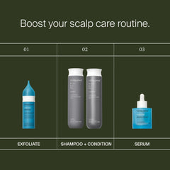 Living Proof scalp care routine with Scalp Care Exfoliator Perfect hair Day Shampoo and Conditioner and Density Serum
