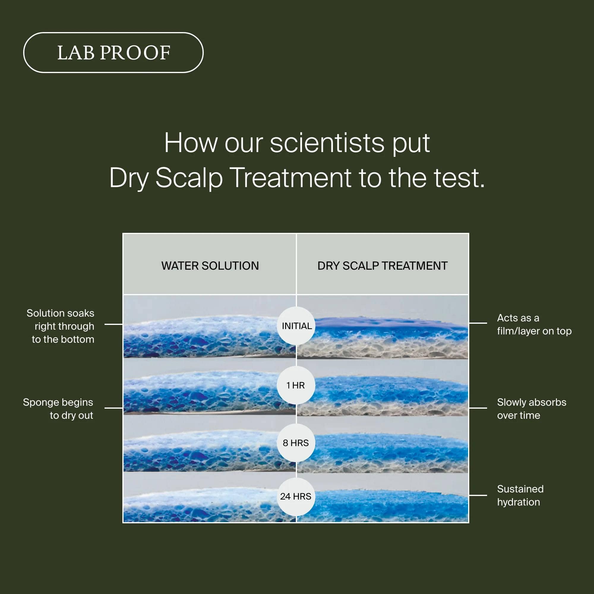 Lab proof sponge test showing Dry Scalp Treatment forms a film and hydrates for 24 hours while water soaks through