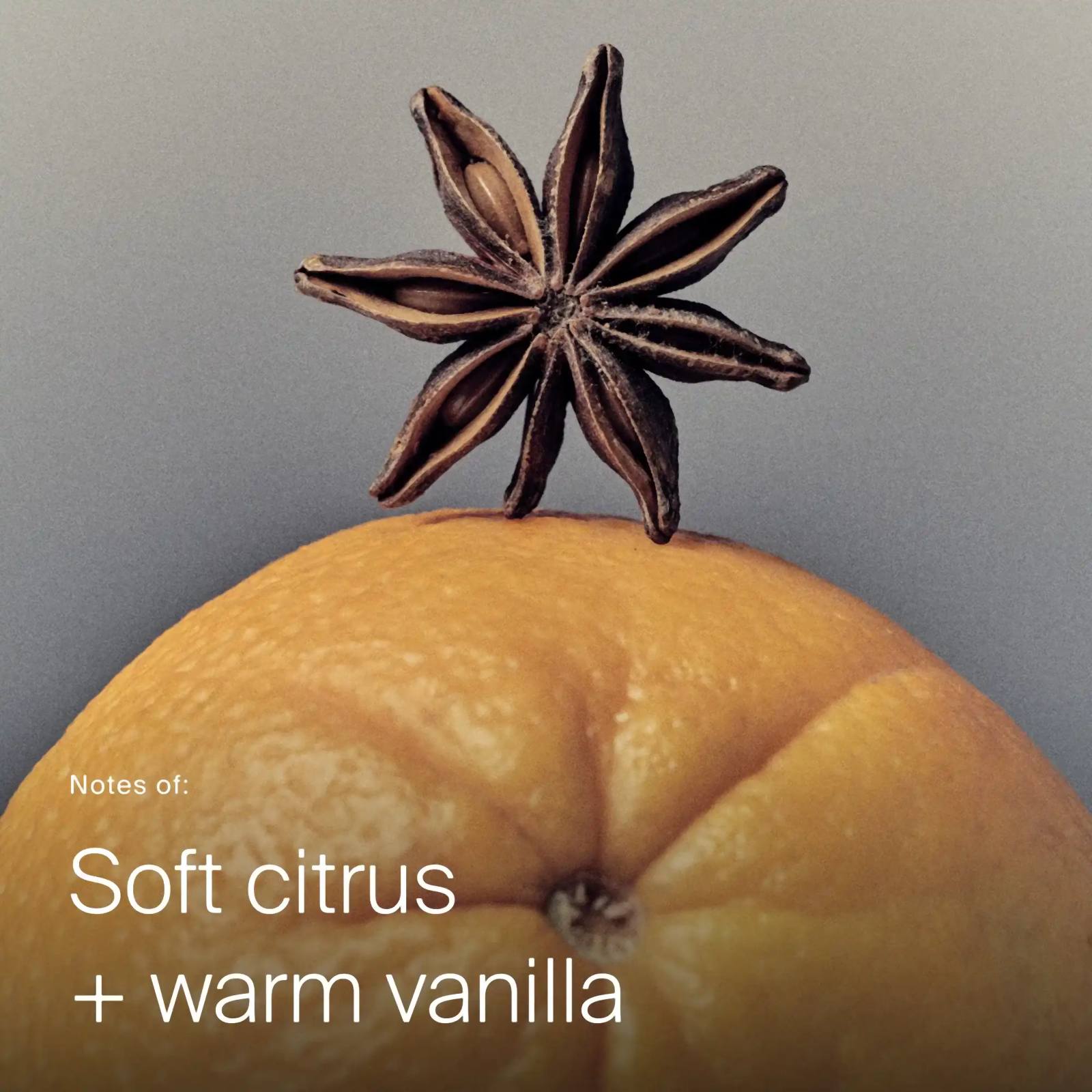 Star anise on an orange showing the soft citrus and warm vanilla scent of Living Proof Flex Hairspray