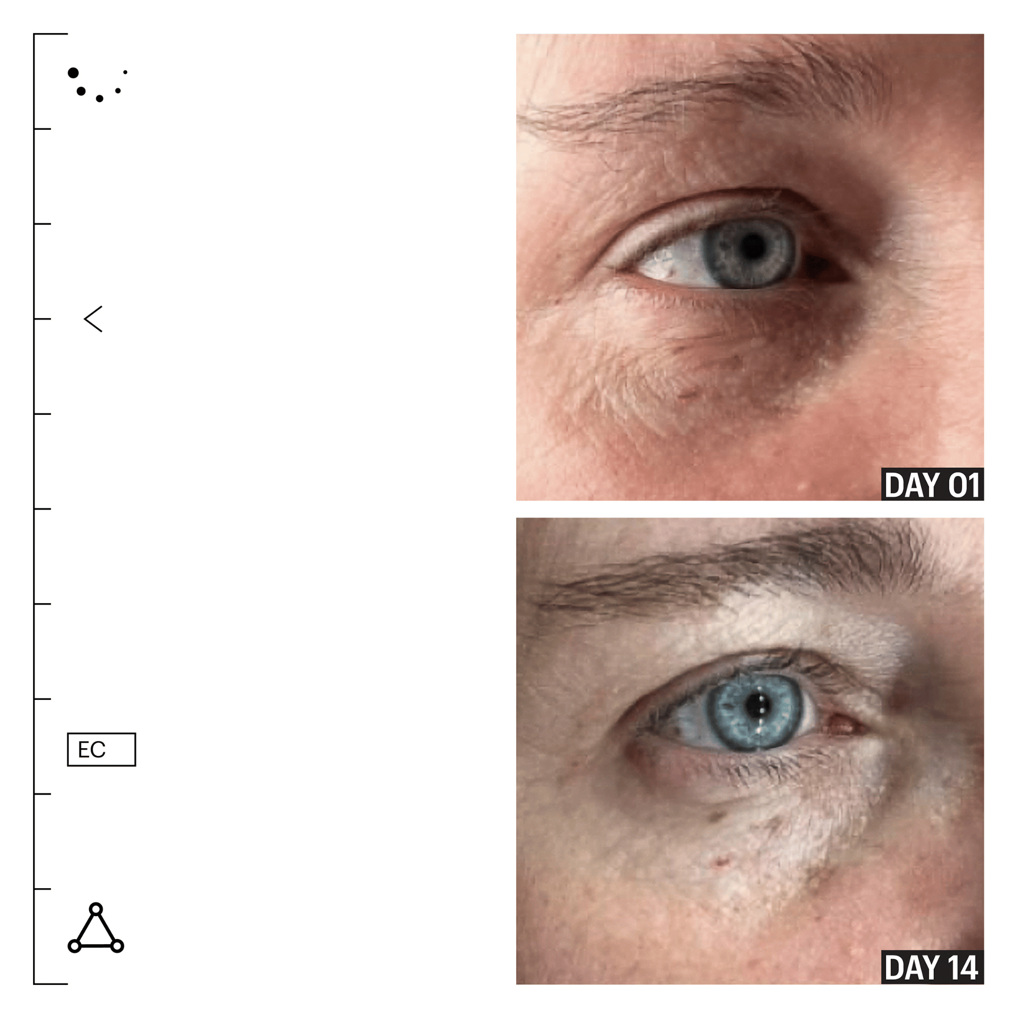 Allies of Skin Peptides and Omegas Firming Eye Cream