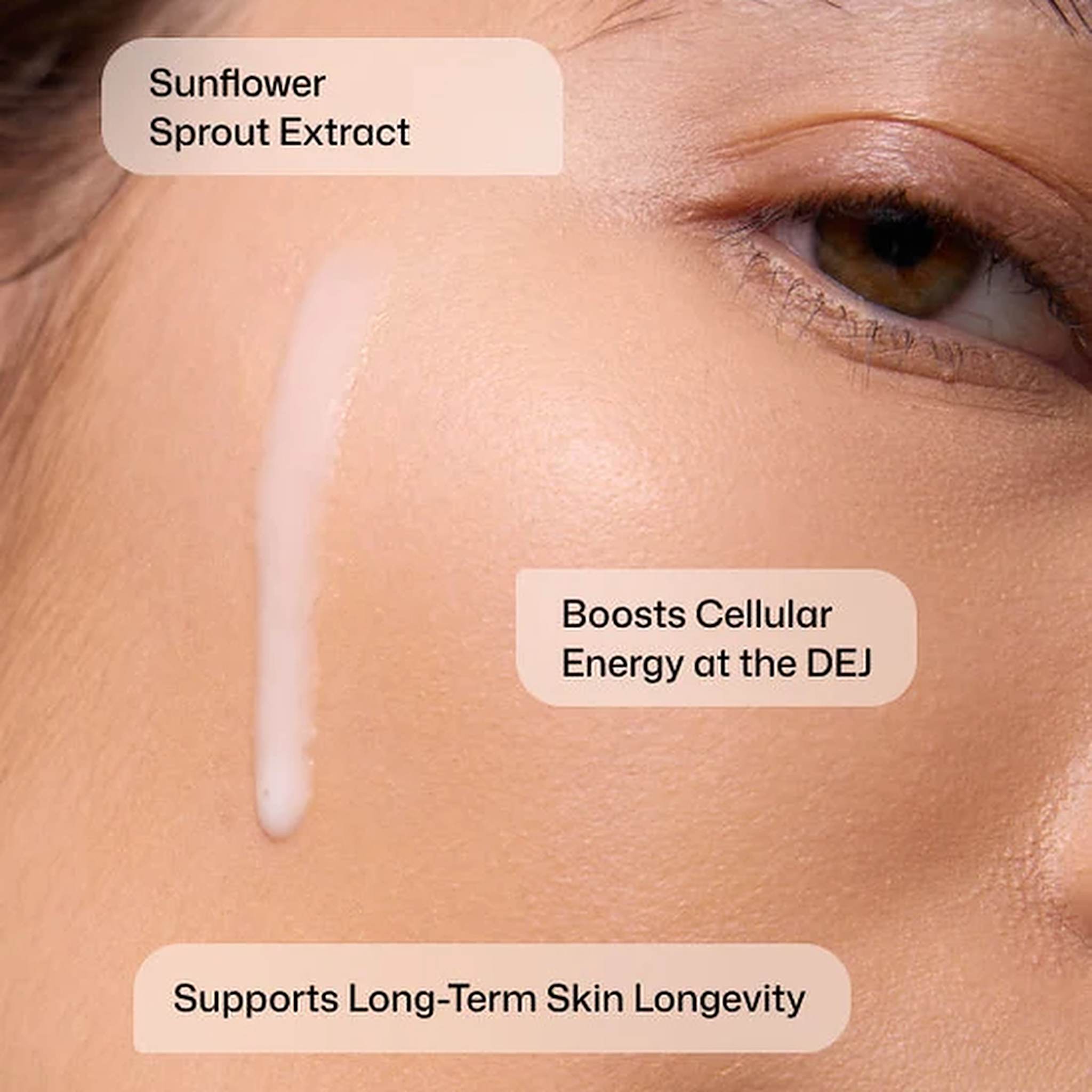 Revision Skincare DEJ Daily Boosting Serum on cheek with sunflower sprout extract to boost cellular energy