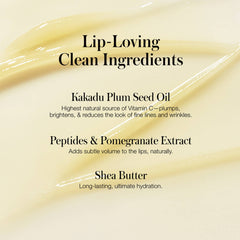 Lipnights ingredient list featuring kakadu plum peptides and shea butter