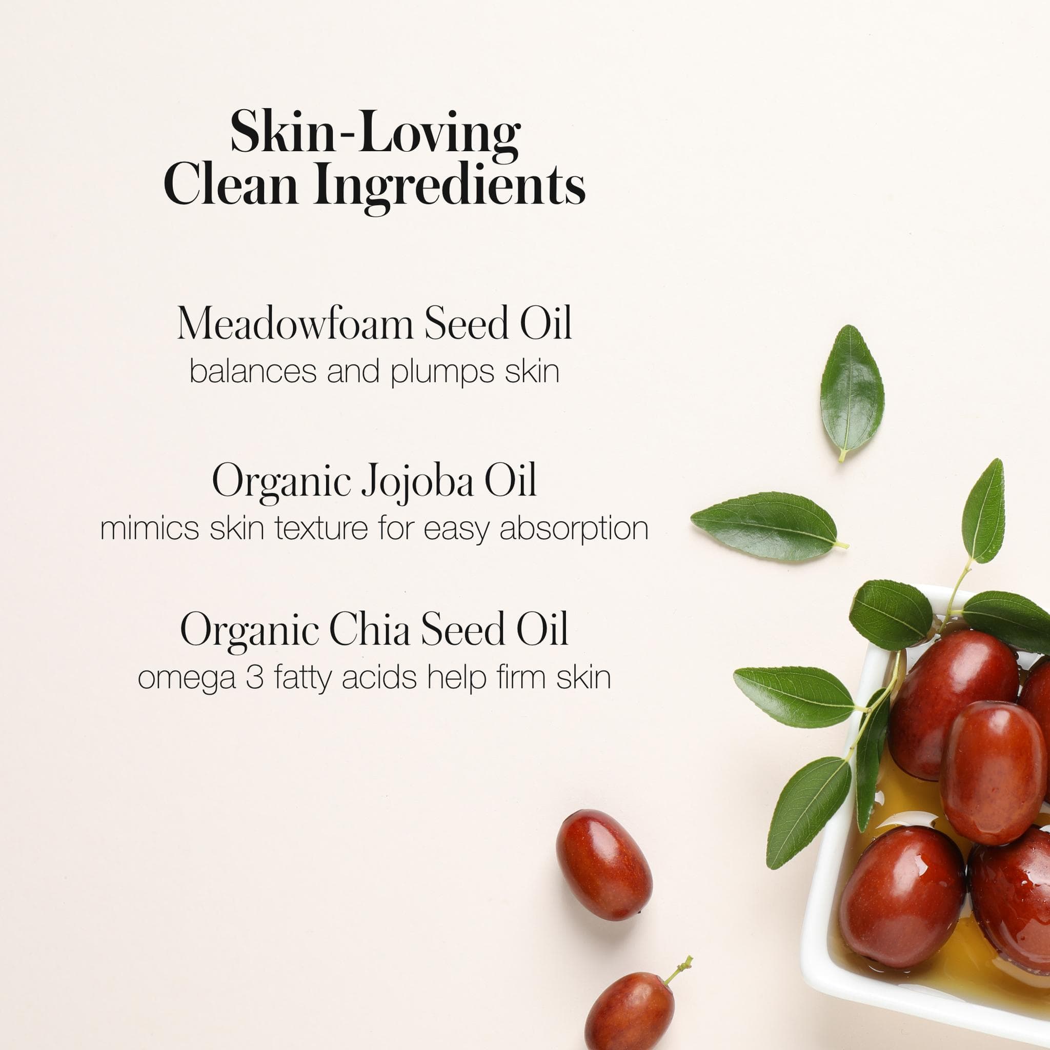 Un Cover-Up Concealer key ingredients meadowfoam jojoba and chia seed oil 7