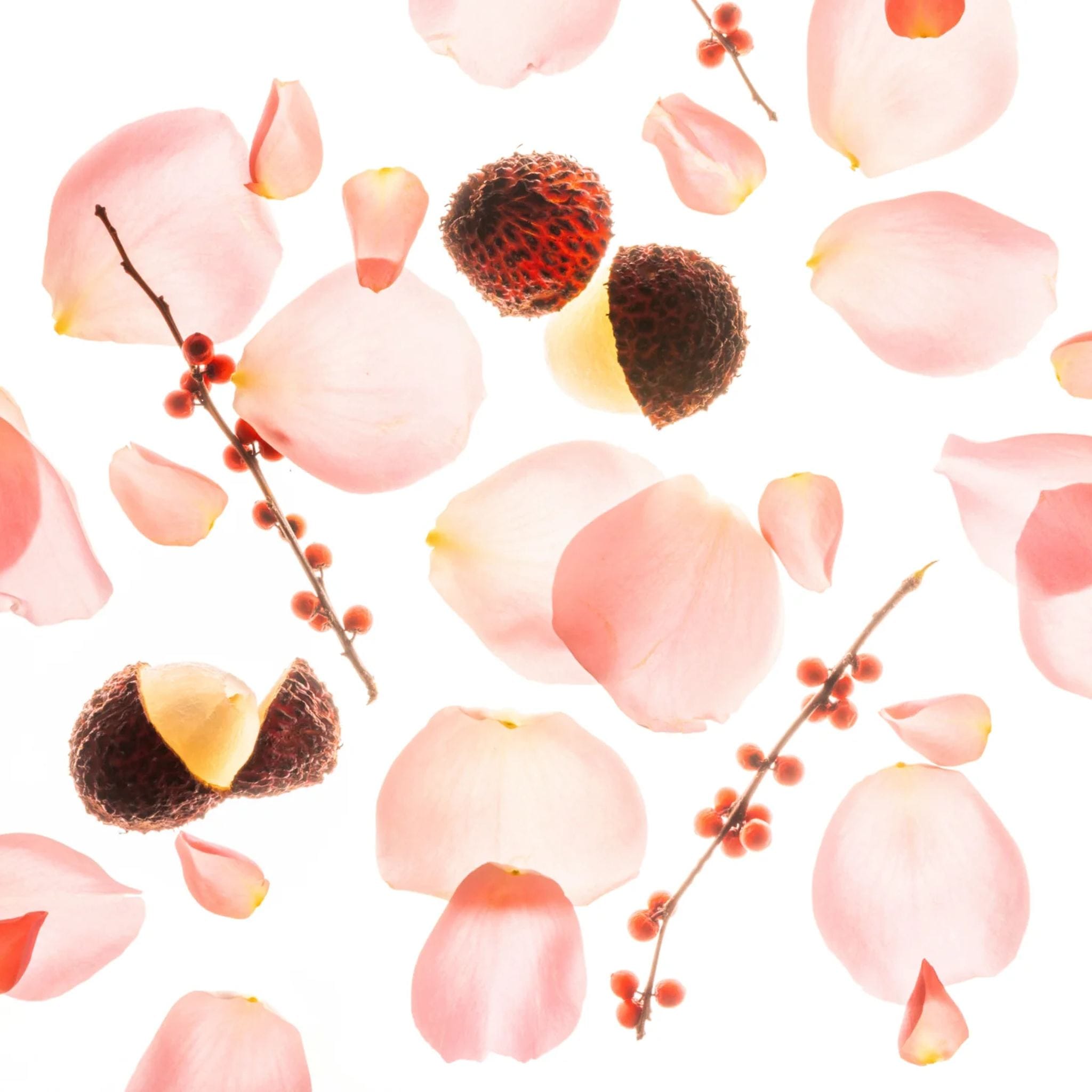 Backlit pink rose petals with lychee and red winterberry sprigs representing the Glow Mist scent notes