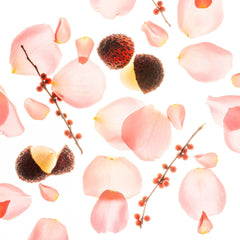 Backlit pink rose petals with lychee and red winterberry sprigs representing the Glow Mist scent notes