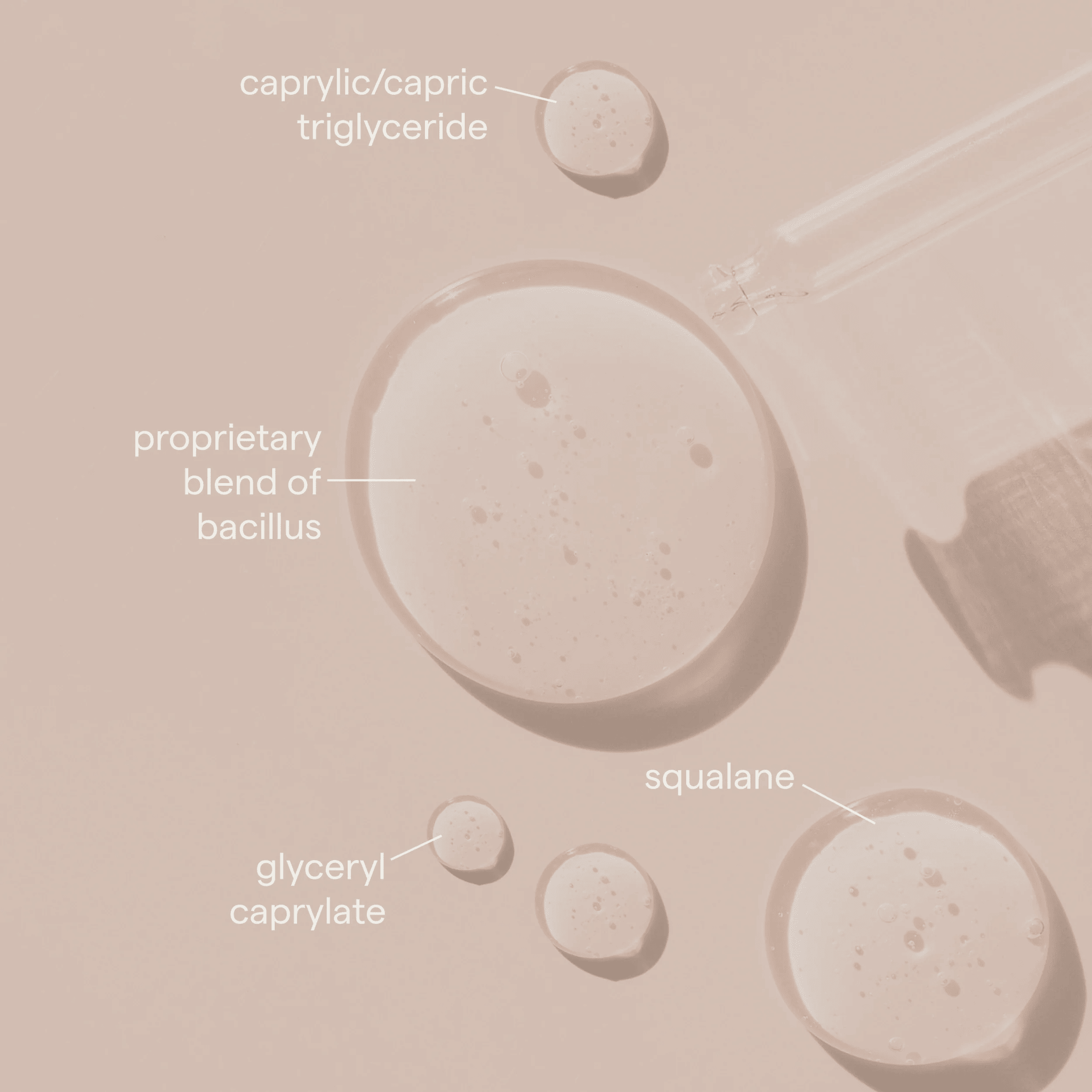 SIV Biome Balancing Serum key ingredients including bacillus blend and squalane