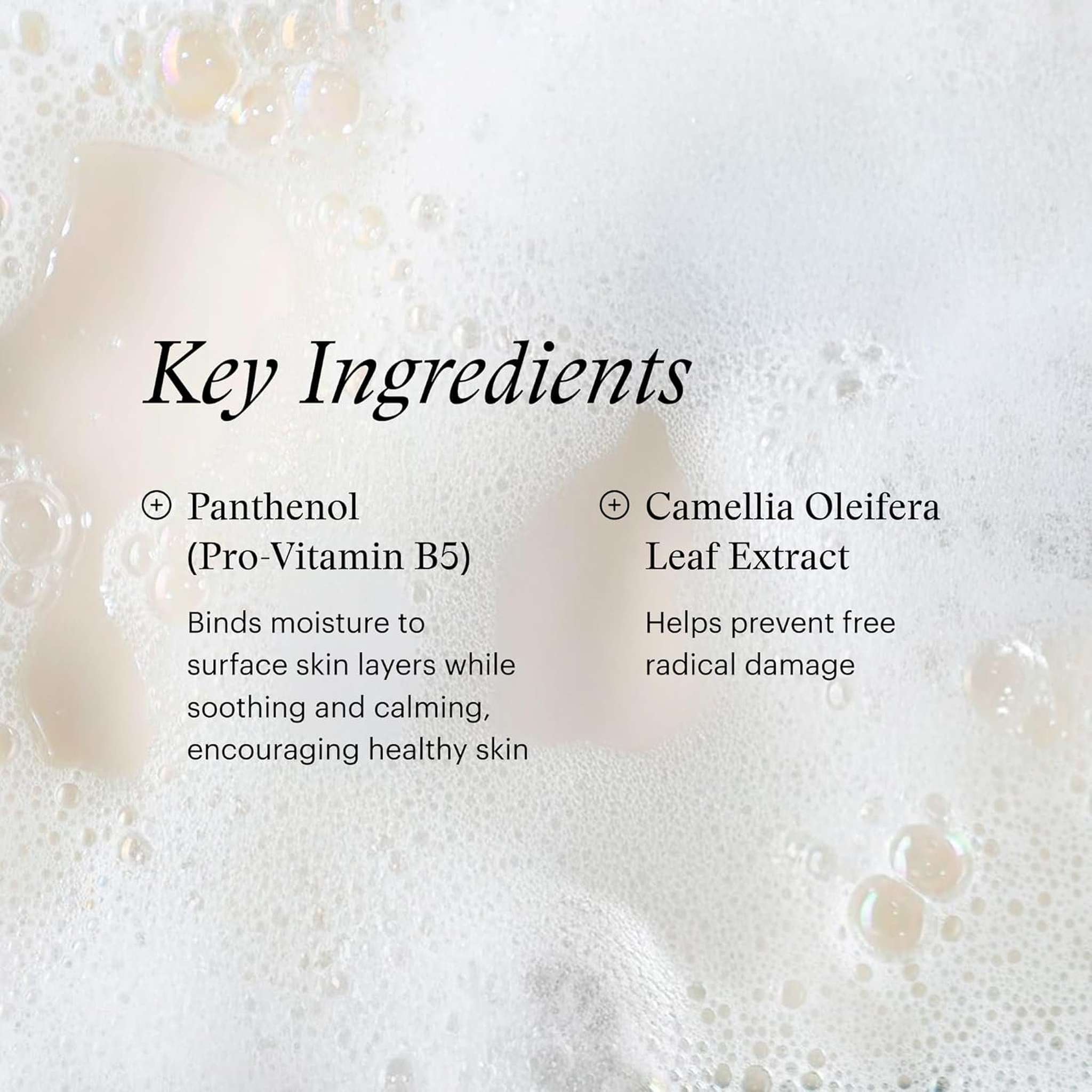 SkinMedica Facial Cleanser key ingredients Panthenol Pro-Vitamin B5 and Camellia Oleifera