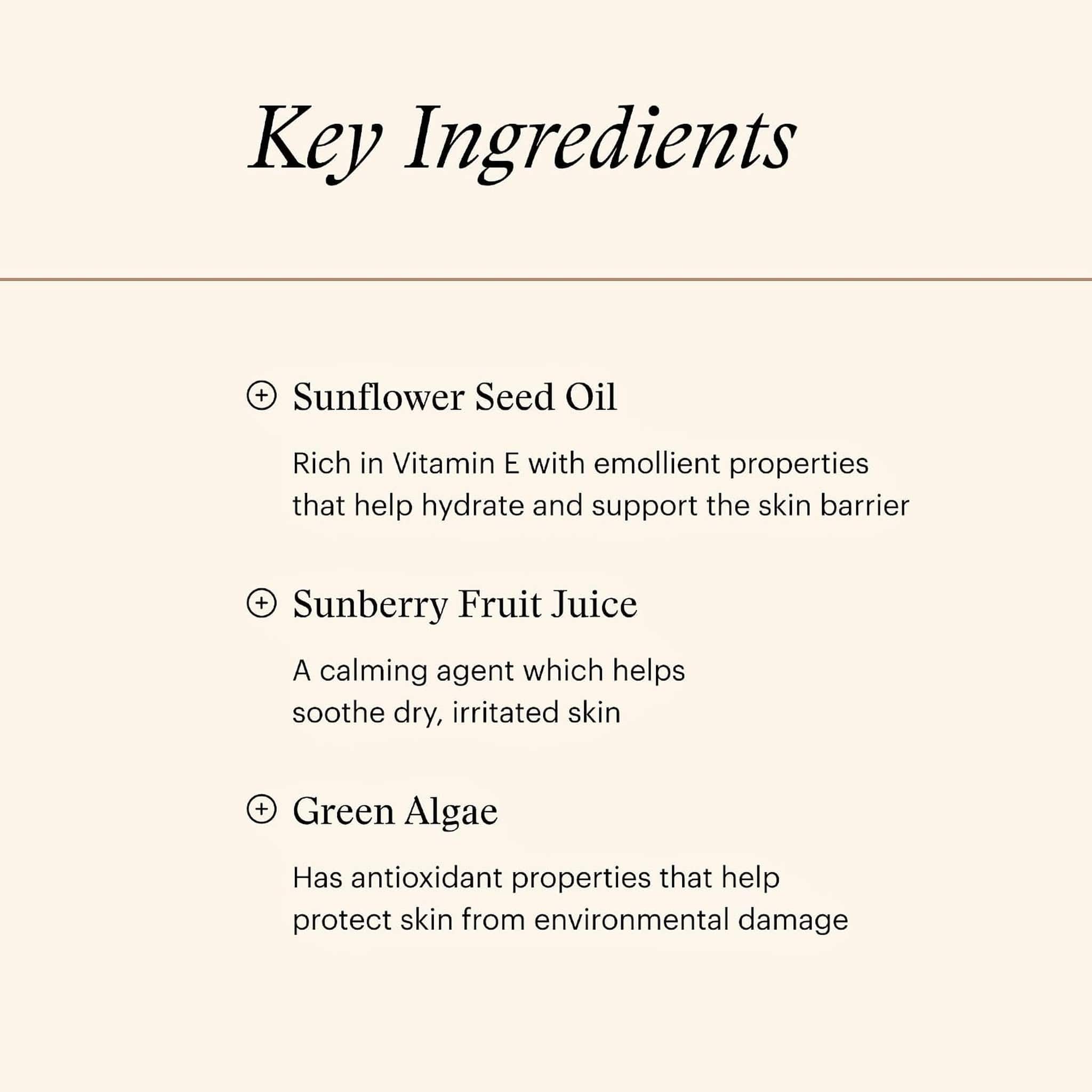 Key ingredients in SkinMedica Restorative Ointment including sunflower seed oil and green algae