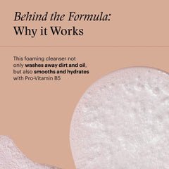 SkinMedica Facial Cleanser