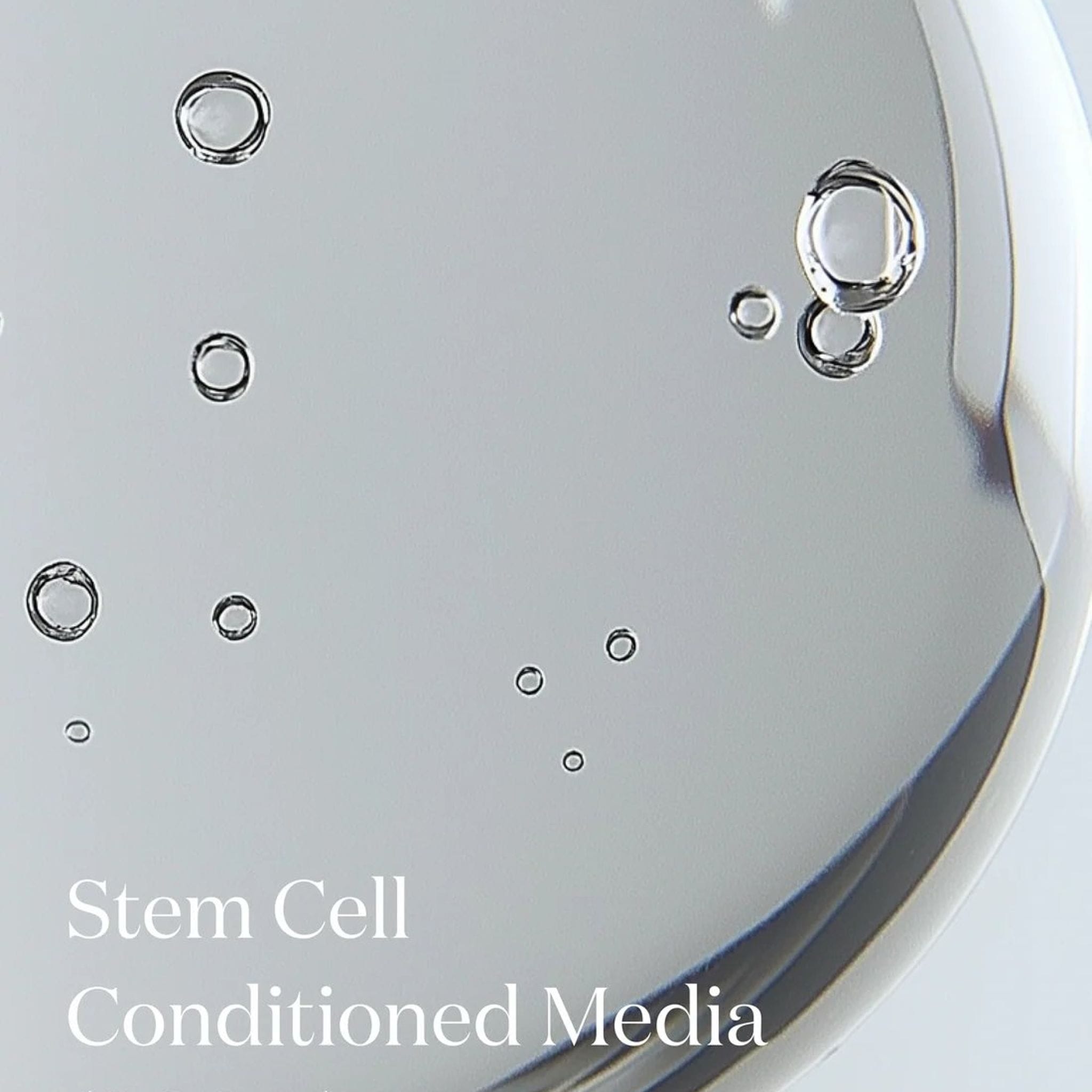 Close-up of clear liquid with bubbles in petri dish highlighting Stem Cell Conditioned Media key ingredient in Symbiome The Essence