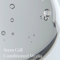 Close-up of clear liquid with bubbles in petri dish highlighting Stem Cell Conditioned Media key ingredient in Symbiome The Essence