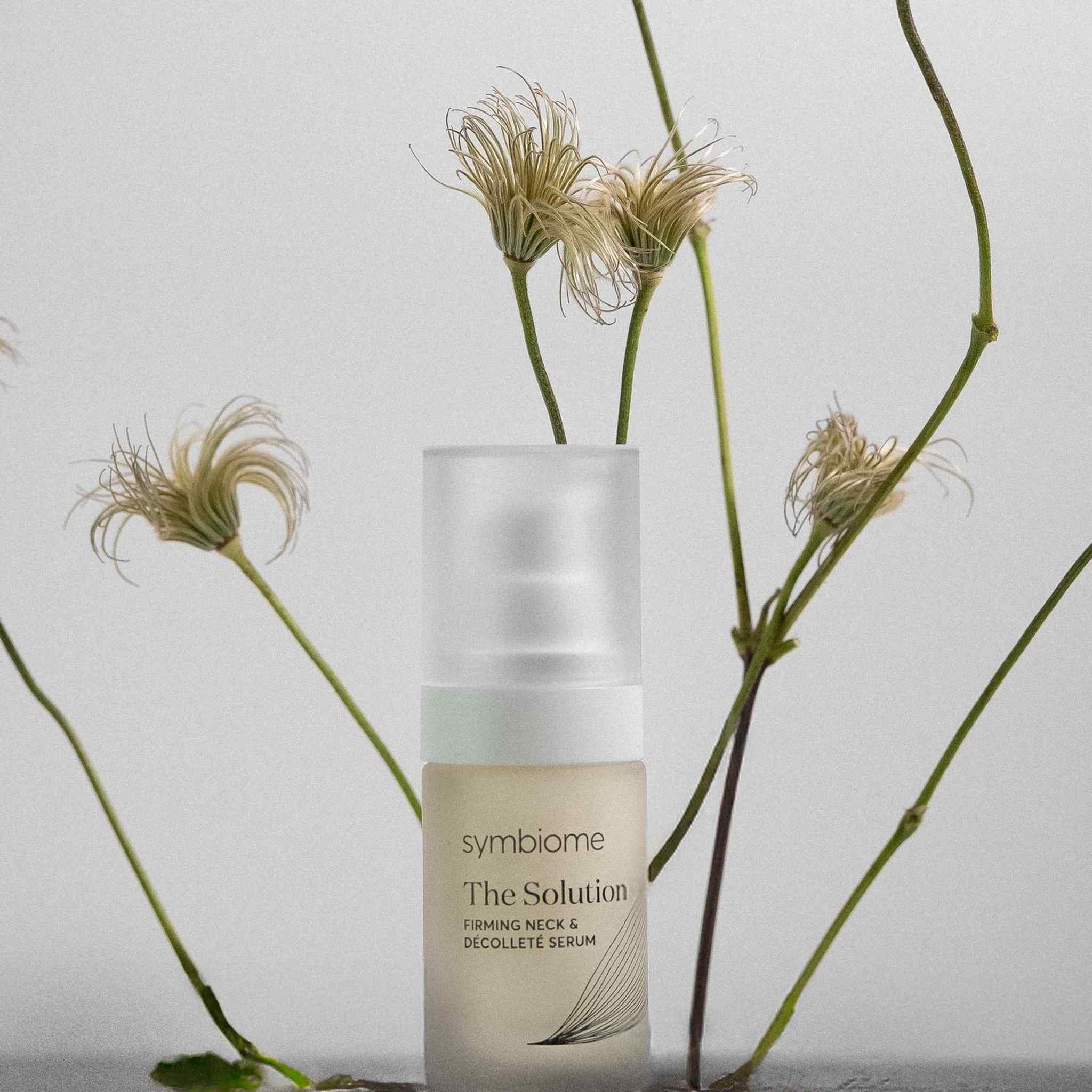 Symbiome The Solution Firming Neck and Decollete Serum bottle surrounded by wispy dried botanical stems on gray surface