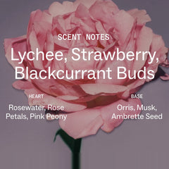 Blush Rose scent notes of lychee strawberry and blackcurrant buds with rosewater pink peony orris musk and ambrette seed