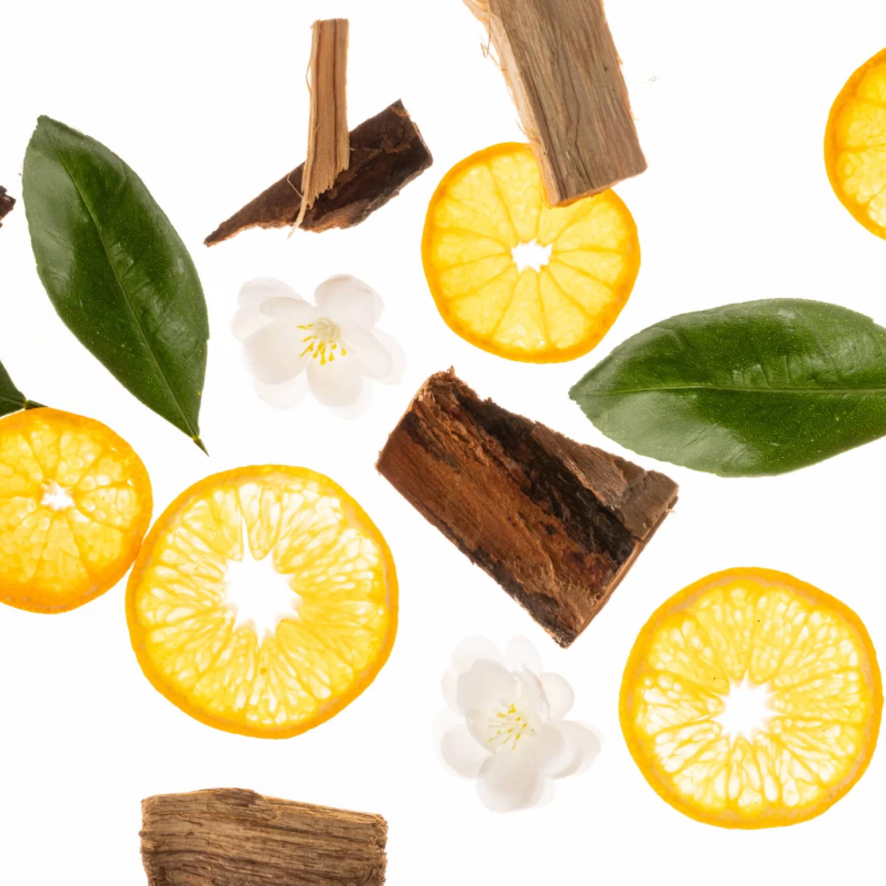 Mandarin slices with green leaves white blossoms and wood bark representing the Cashmere Woods fragrance notes