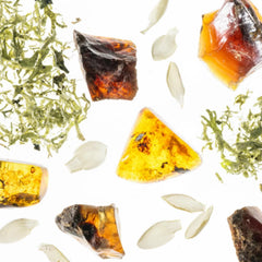 Raw amber stones with green moss and white petals representing the Golden Amber fragrance notes